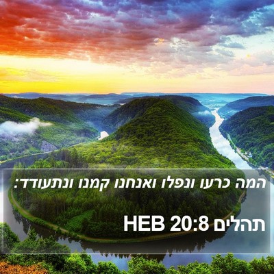תהלים 20:8 HEB Bible Verse Image