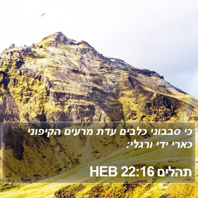 תהלים 22:16 HEB Bible Verse Image