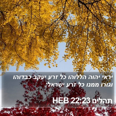 תהלים 22:23 HEB Bible Verse Image