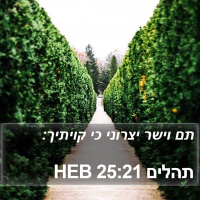 תהלים 25:21 HEB Bible Verse Image
