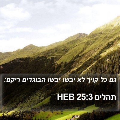 תהלים 25:3 HEB Bible Verse Image