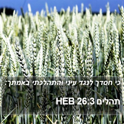תהלים 26:3 HEB Bible Verse Image