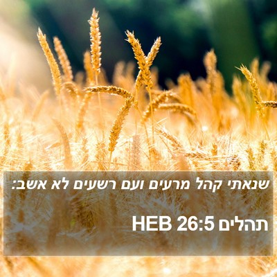 תהלים 26:5 HEB Bible Verse Image