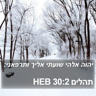 תהלים 30:2 HEB Bible Verse Image