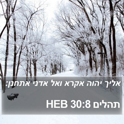 תהלים 30:8 HEB Bible Verse Image