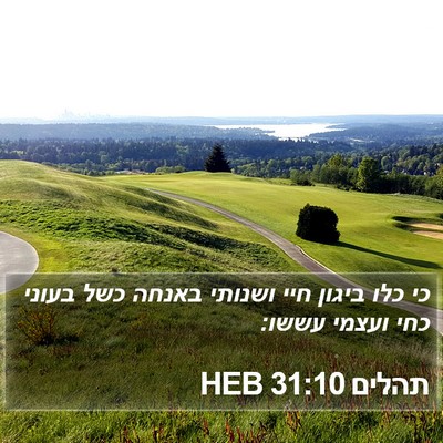 תהלים 31:10 HEB Bible Verse Image