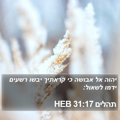 תהלים 31:17 HEB Bible Verse Image