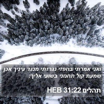תהלים 31:22 HEB Bible Verse Image