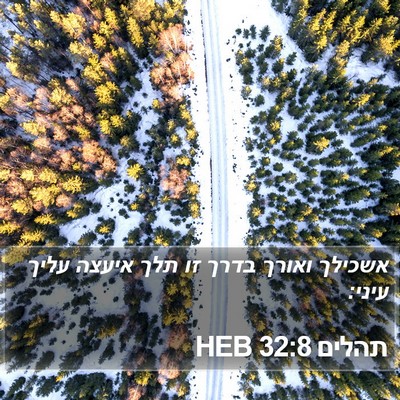 תהלים 32:8 HEB Bible Verse Image