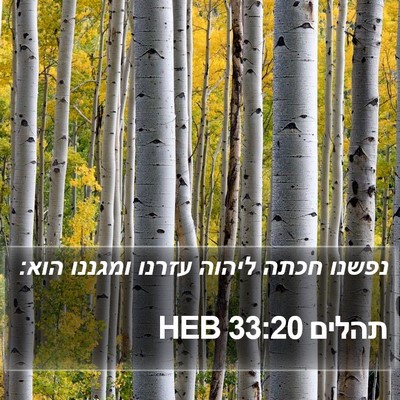תהלים 33:20 HEB Bible Verse Image
