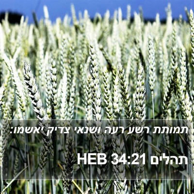תהלים 34:21 HEB Bible Verse Image