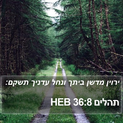 תהלים 36:8 HEB Bible Verse Image