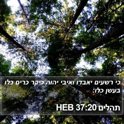 תהלים 37:20 HEB Bible Verse Image