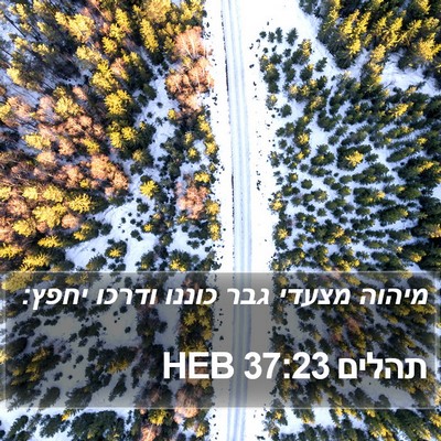 תהלים 37:23 HEB Bible Verse Image