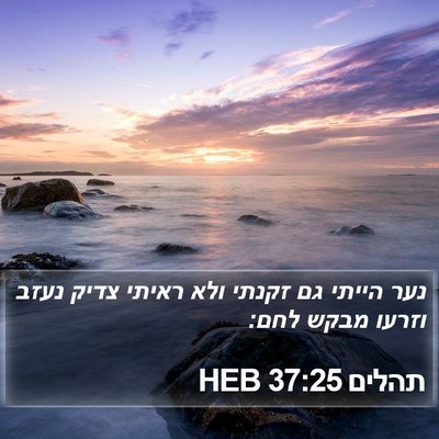 תהלים 37:25 HEB Bible Verse Image