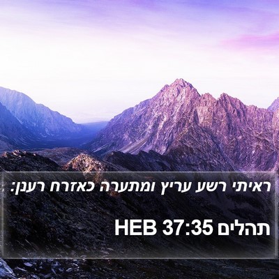 תהלים 37:35 HEB Bible Verse Image