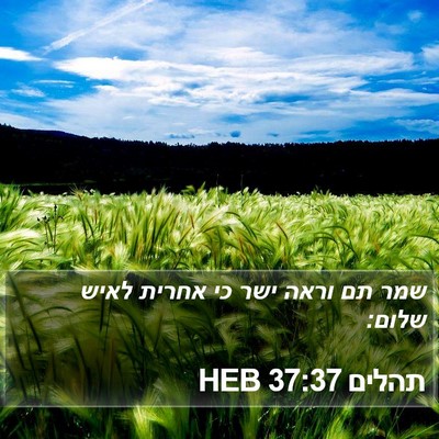 תהלים 37:37 HEB Bible Verse Image