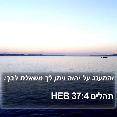 תהלים 37:4 HEB Bible Verse Image