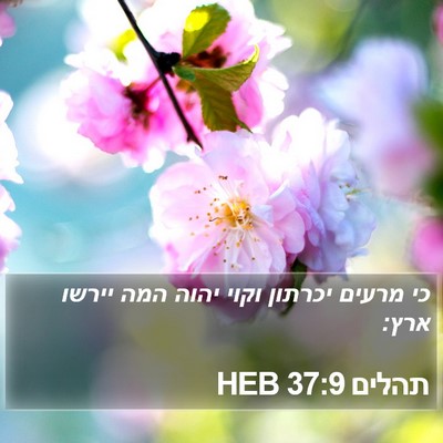 תהלים 37:9 HEB Bible Verse Image