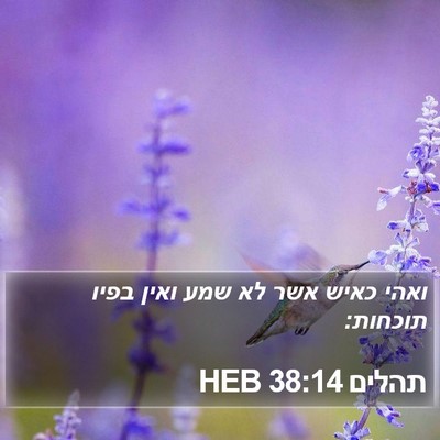 תהלים 38:14 HEB Bible Verse Image