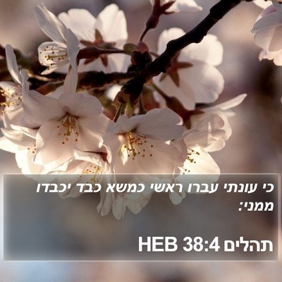 תהלים 38:4 HEB Bible Verse Image