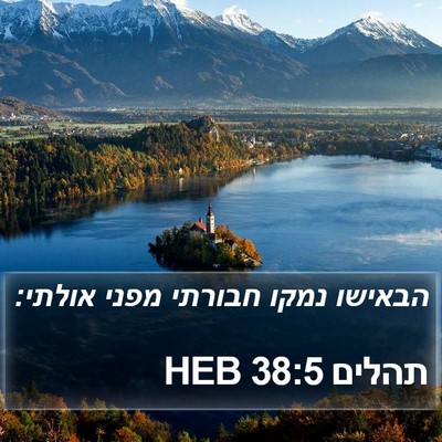תהלים 38:5 HEB Bible Verse Image