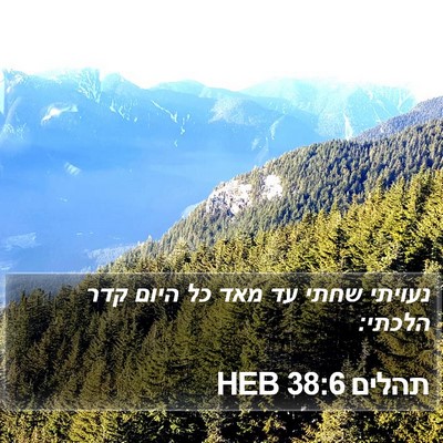 תהלים 38:6 HEB Bible Verse Image