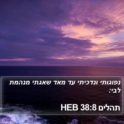 תהלים 38:8 HEB Bible Verse Image