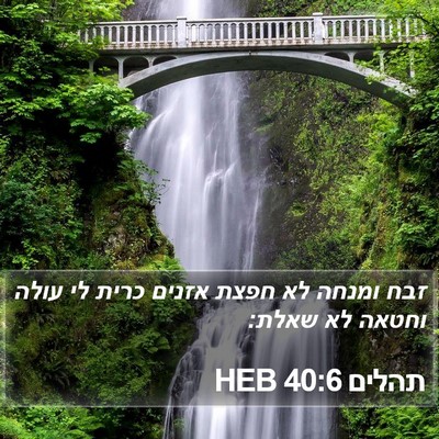 תהלים 40:6 HEB Bible Verse Image