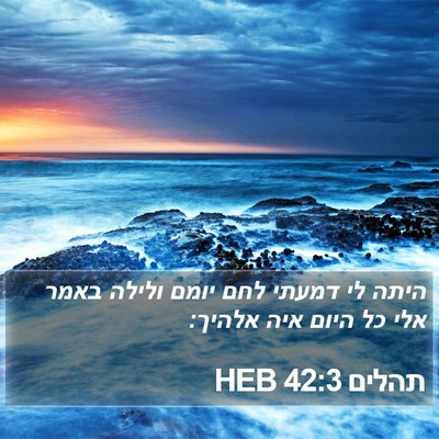 תהלים 42:3 HEB Bible Verse Image