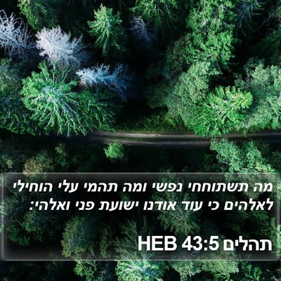 תהלים 43:5 HEB Bible Verse Image