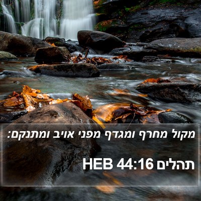תהלים 44:16 HEB Bible Verse Image