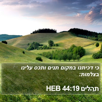 תהלים 44:19 HEB Bible Verse Image