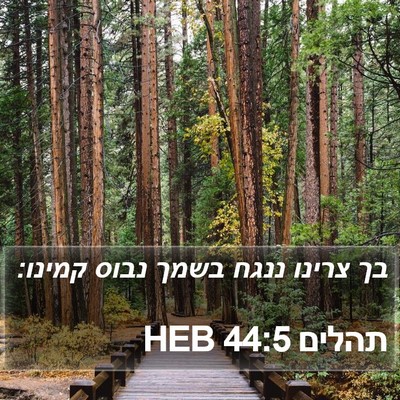 תהלים 44:5 HEB Bible Verse Image