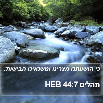 תהלים 44:7 HEB Bible Verse Image
