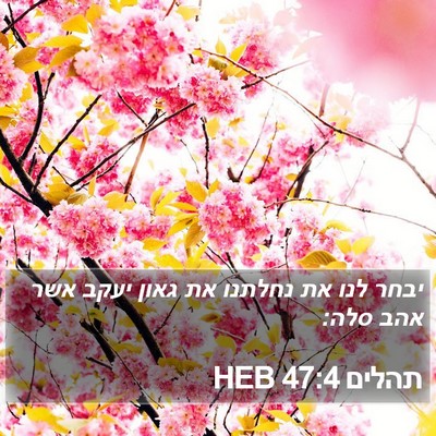 תהלים 47:4 HEB Bible Verse Image