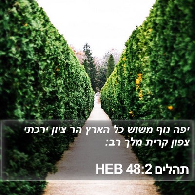 תהלים 48:2 HEB Bible Verse Image