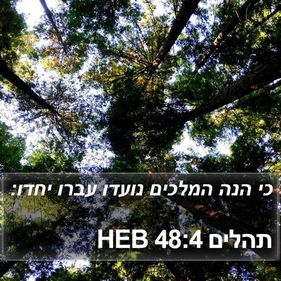 תהלים 48:4 HEB Bible Verse Image