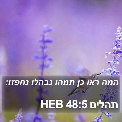 תהלים 48:5 HEB Bible Verse Image
