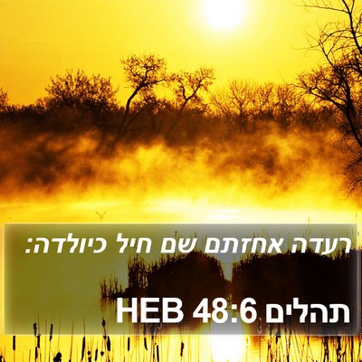 תהלים 48:6 HEB Bible Verse Image