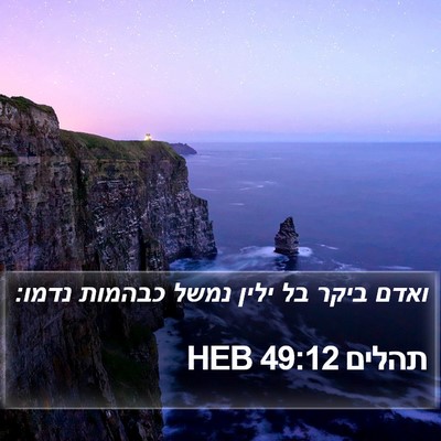 תהלים 49:12 HEB Bible Verse Image