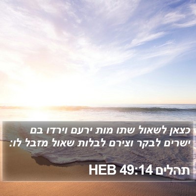 תהלים 49:14 HEB Bible Verse Image