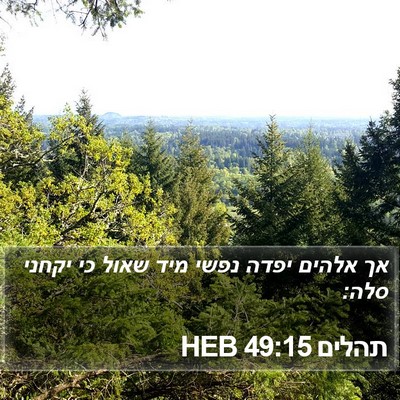 תהלים 49:15 HEB Bible Verse Image