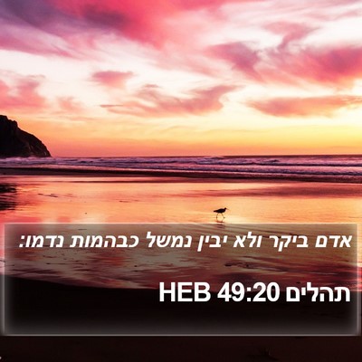 תהלים 49:20 HEB Bible Verse Image