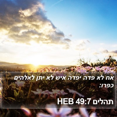 תהלים 49:7 HEB Bible Verse Image