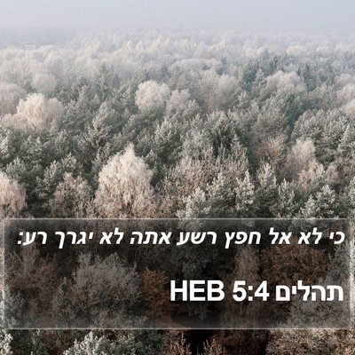 תהלים 5:4 HEB Bible Verse Image
