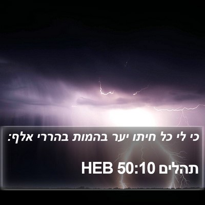 תהלים 50:10 HEB Bible Verse Image