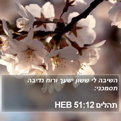 תהלים 51:12 HEB Bible Verse Image