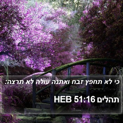 תהלים 51:16 HEB Bible Verse Image