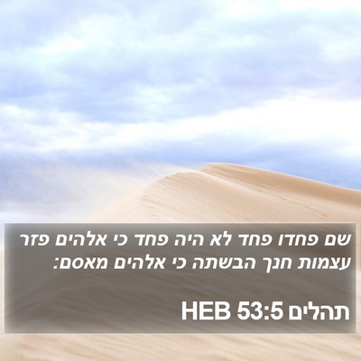 תהלים 53:5 HEB Bible Verse Image